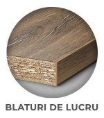 Blaturi-De-Lucrut-WTP-ALL-2025-v1